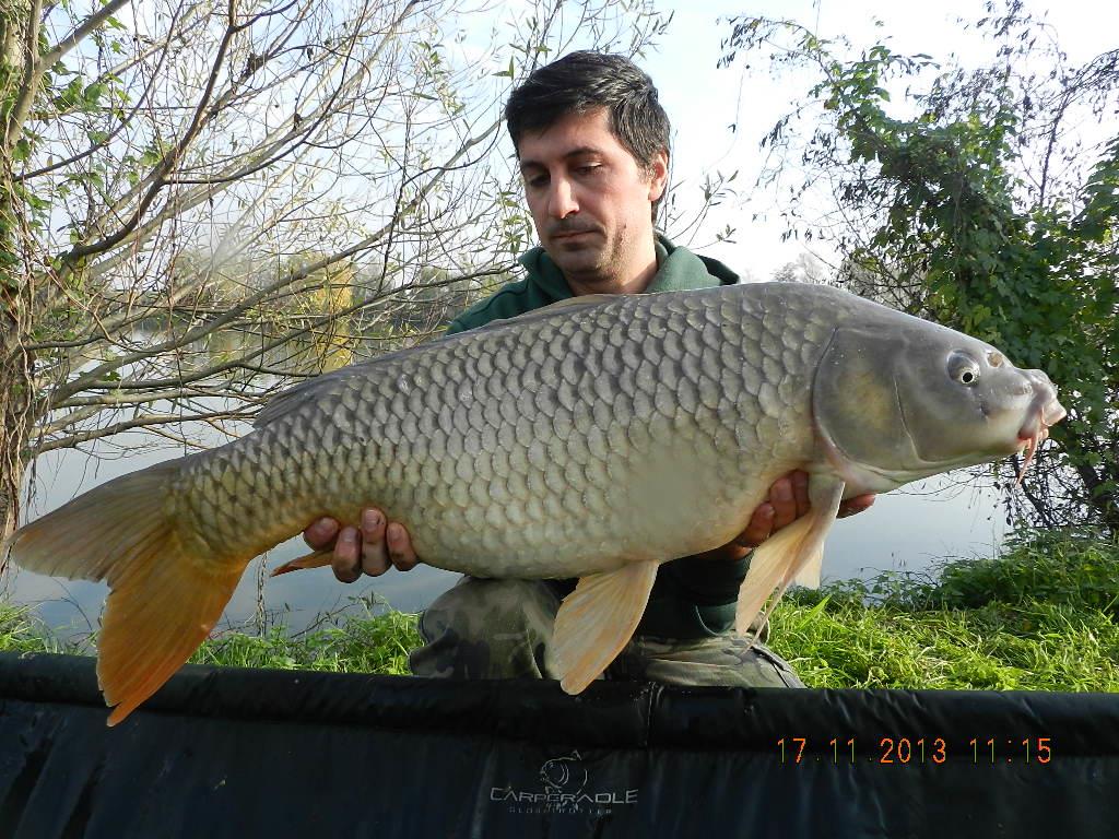 15 noiembrie 2013 - dscn1824.JPG